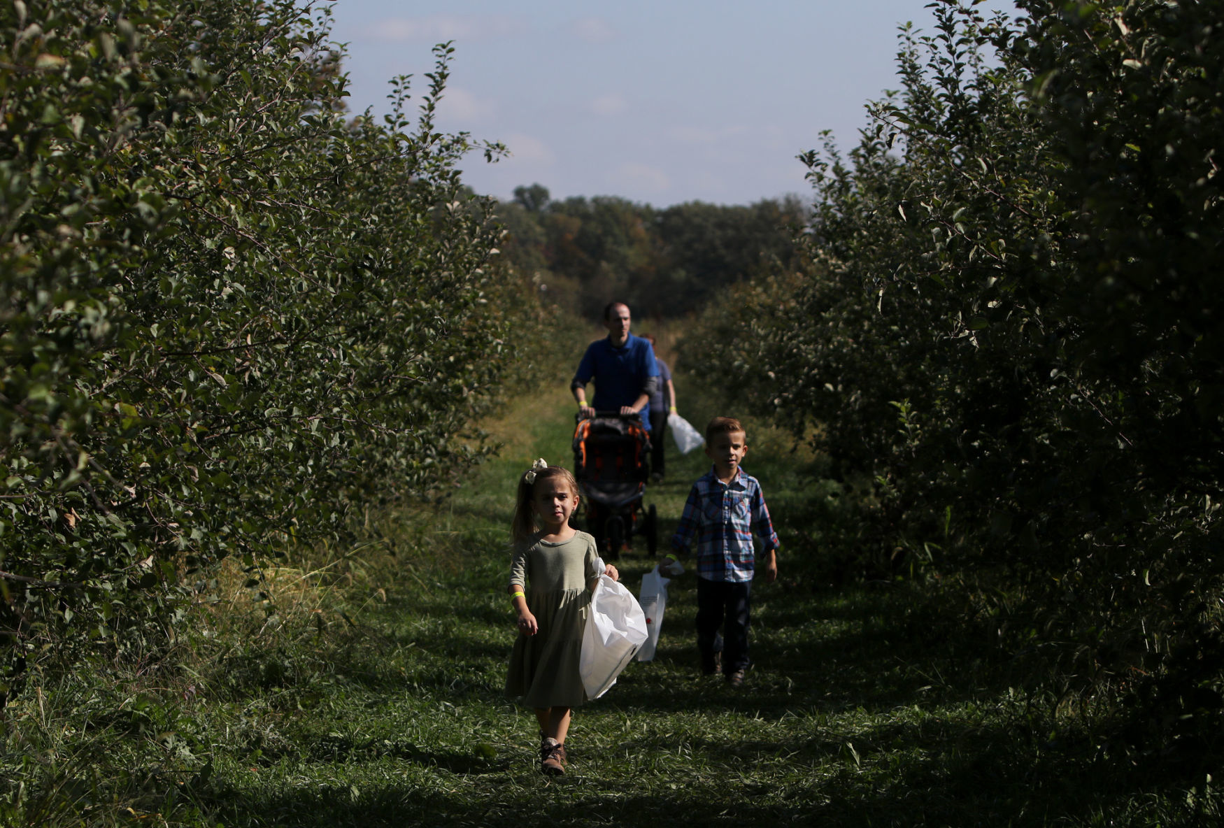 County Line Orchard